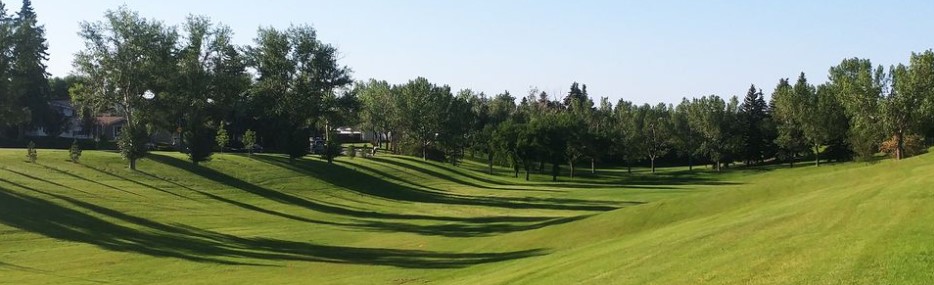 Highlighting the community of Thorncliffe